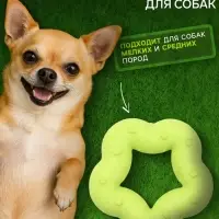 Жевательная игрушка для собак &laquo;Пленительная звезда&raquo;, 7 см, TPR, жёлтая