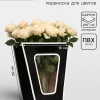 Пакет - переноска для цветов 10&times;10&times;20&times;18 см, чёрный с каймой
