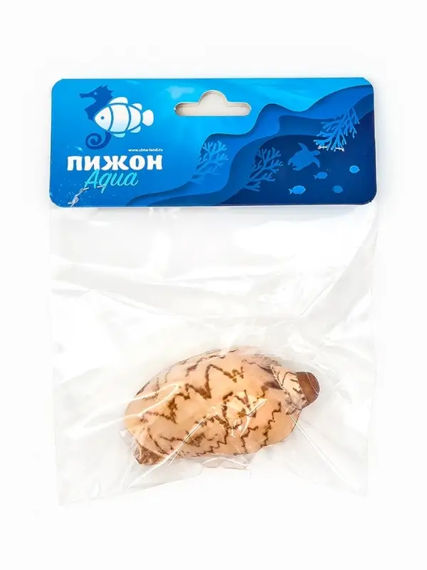 Ракушка декоративная, 6-7 см