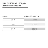 Набор: коньки детские раздвижные Snow Cat, с роликовой платформой, защита, размер 30-33