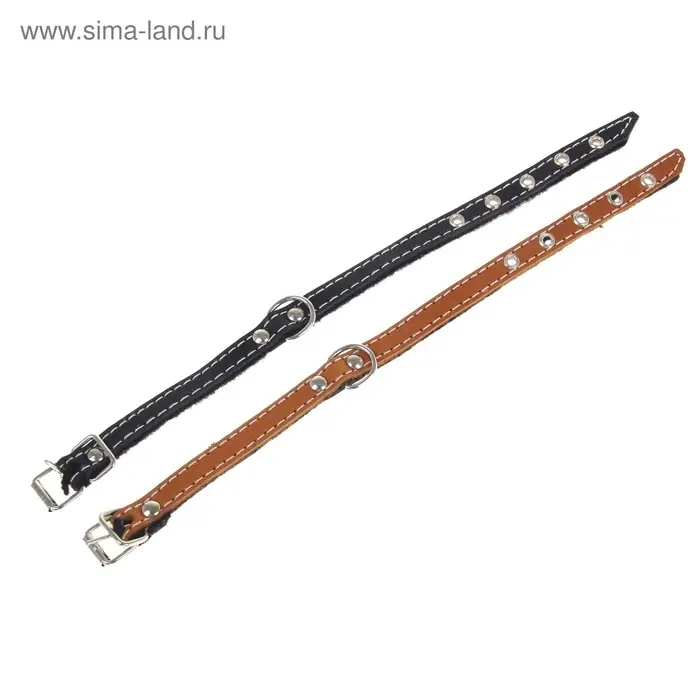 Ошейник тисненый на фетре, 30&times;1.2 см, кожа, цвет МИКС