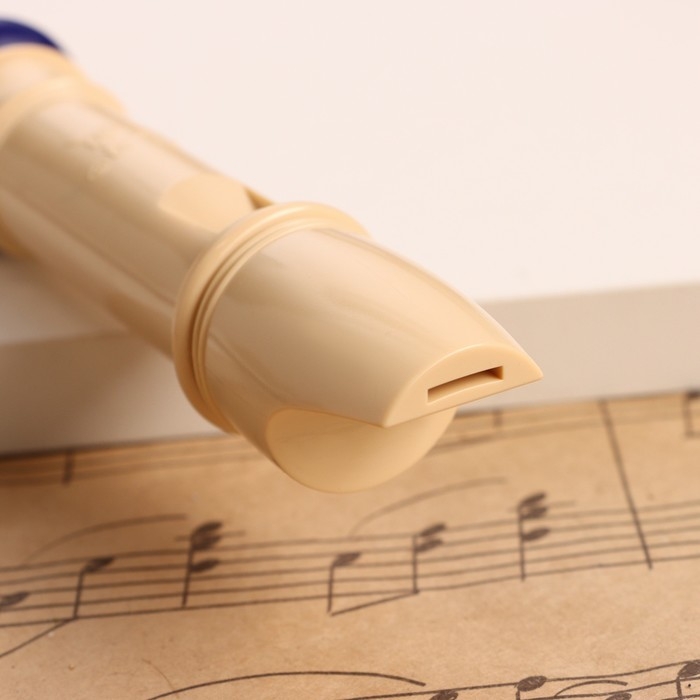 Блокфлейта Music Life, 8 отверстий, синий чехол, шомпол, 30 см Блокфлейта Music Life, 8 отверстий, синий чехол, шомпол, 30 см