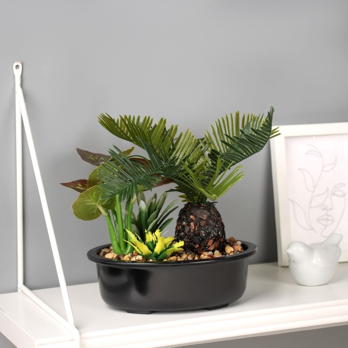 Бонсай в горшке Бонсай в горшке "Ассорти премиум" 19х17 см