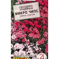 Семена цветов Гвоздика Микро чипс многолетняя, смесь сортов Мн Многолетники., Ц/П,0,05 г Семена цветов Гвоздика Микро чипс многолетняя, смесь сортов Мн Многолетники., Ц/П,0,05 г