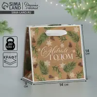 Пакет подарочный новогодний крафтовый квадратный «Сказка», 14 х 14 х 9 см