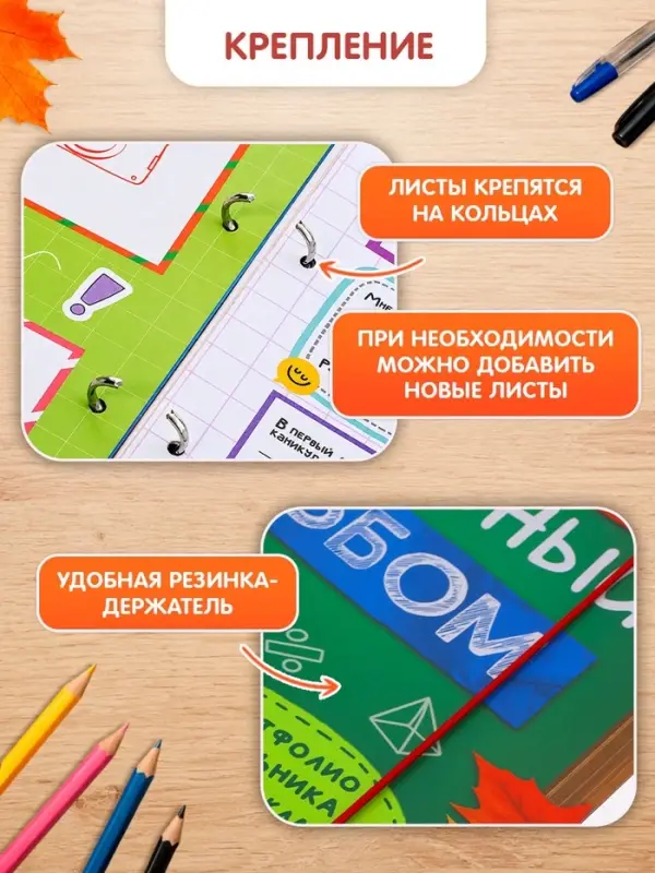 Книга-папка &laquo;Большой школьный альбом&raquo; с наклейками