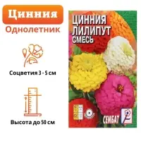 Семена цветов Цинния &laquo;Лилипут&raquo; смесь, 0.3 г, &laquo;Сембат&raquo;