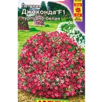 Семена цветов Петуния Джоконда F1 пурпурно-белая (драже в пробирке) С. Farao, Ц/П,5 шт. Семена цветов Петуния Джоконда F1 пурпурно-белая (драже в пробирке) С. Farao, Ц/П,5 шт.