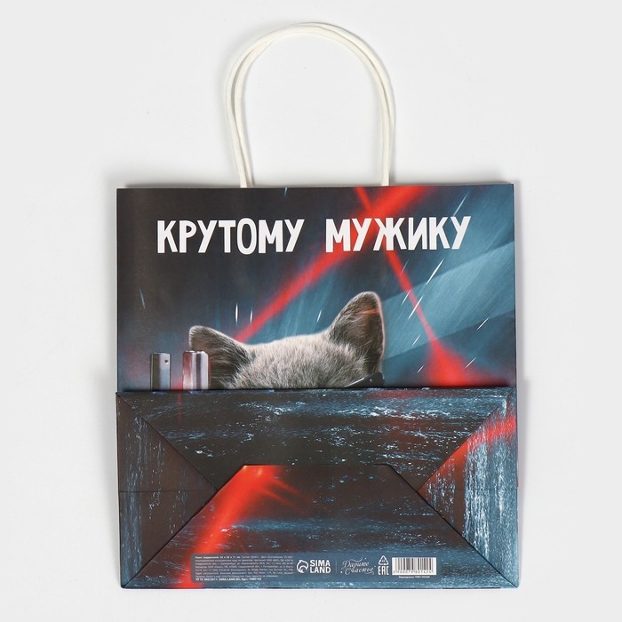 Пакет подарочный, упаковка, «Мужику», 22 х 22 х 11 см