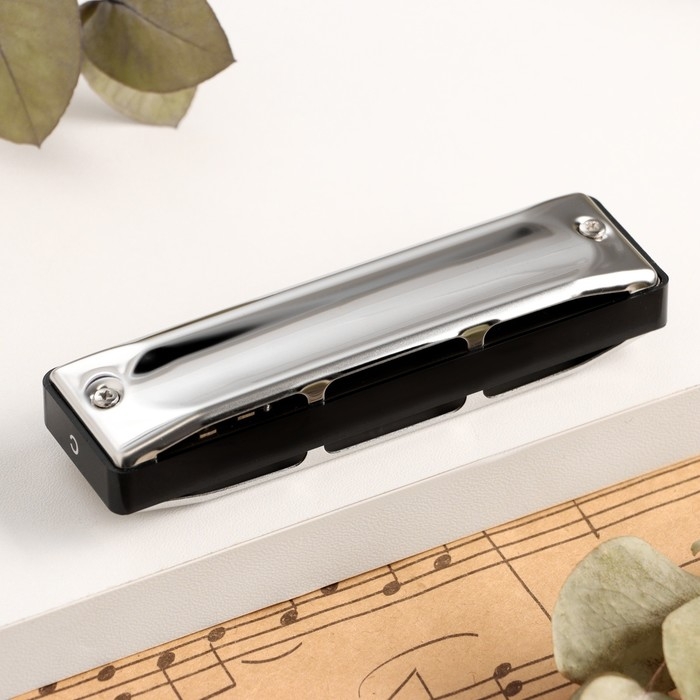 Губная гармошка Music Life T002 C диатоническая, 10 отверстий, с футляром Губная гармошка Music Life T002 C диатоническая, 10 отверстий, с футляром