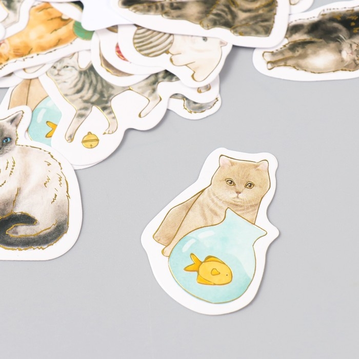 Наклейки для творчества "Породы кошек" тиснение золото набор 48 шт 9х7х0,8 см