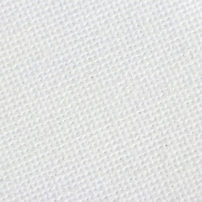 Холст на картоне 35 х 50 см, хлопок 100%, толщина 3 мм, акриловый грунт, мелкозернистый, ЗХК Холст на картоне 35 х 50 см, хлопок 100%, толщина 3 мм, акриловый грунт, мелкозернистый, ЗХК "Сонет"