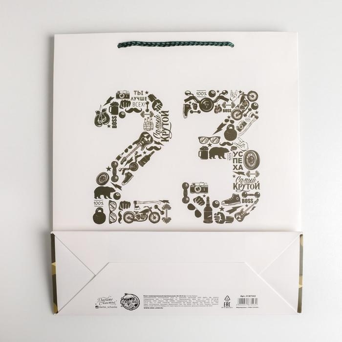 Пакет подарочный ламинированный вертикальный, упаковка, «23 февраля», M 26 х 30 х 9 см