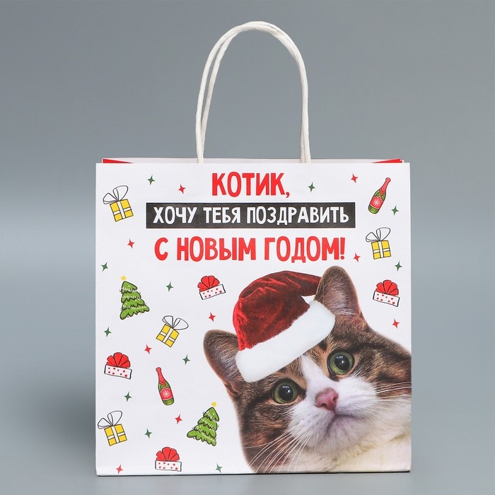 Пакет подарочный новогодний крафтовый «Котик», 22 х 22 х 11 см, Новый год Пакет подарочный новогодний крафтовый «Котик», 22 х 22 х 11 см, Новый год