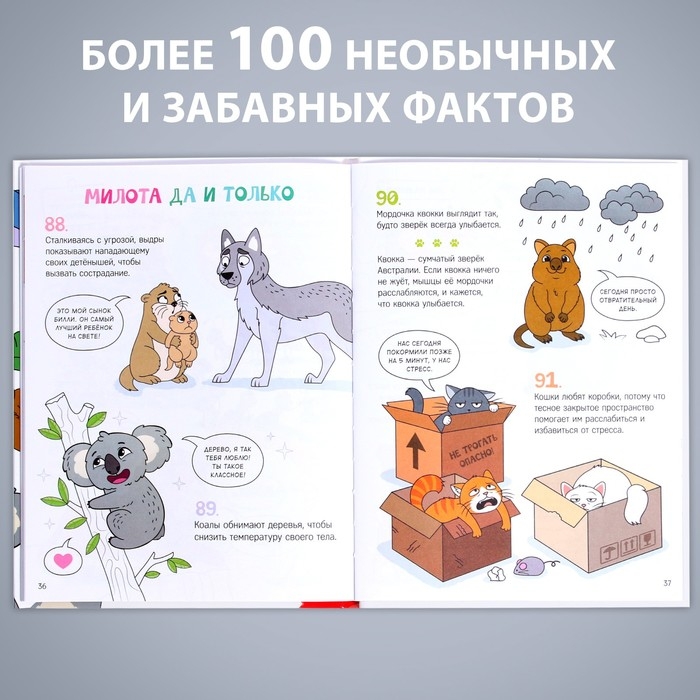 Энциклопедия в твёрдом переплёте  Энциклопедия в твёрдом переплёте "Забавные факты о животных", 48 стр.