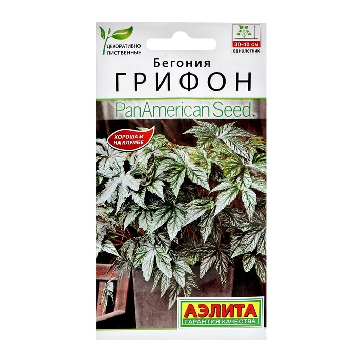 Семена цветов Бегония  Семена цветов Бегония "Грифон", ц/п, 3 шт