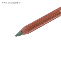 Пастель сухая в карандаше Koh-I-Noor GIOCONDA 8820/24 Soft Pastel, тёмно-зелёная, оливковая