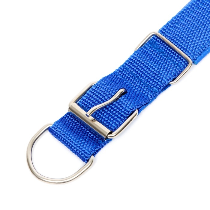 Ошейник Ошейник "Комфорт" комбинированный, 58 х 3 см, ОШ 45-52 см, синий