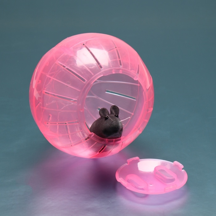 Шар для грызунов Шар для грызунов "Пижон", 12 см, розовый