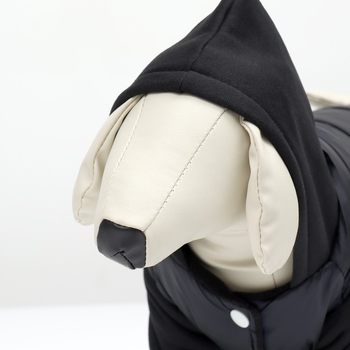 Куртка для собак  Куртка для собак "Спорт" с капюшоном, размер S, чёрная