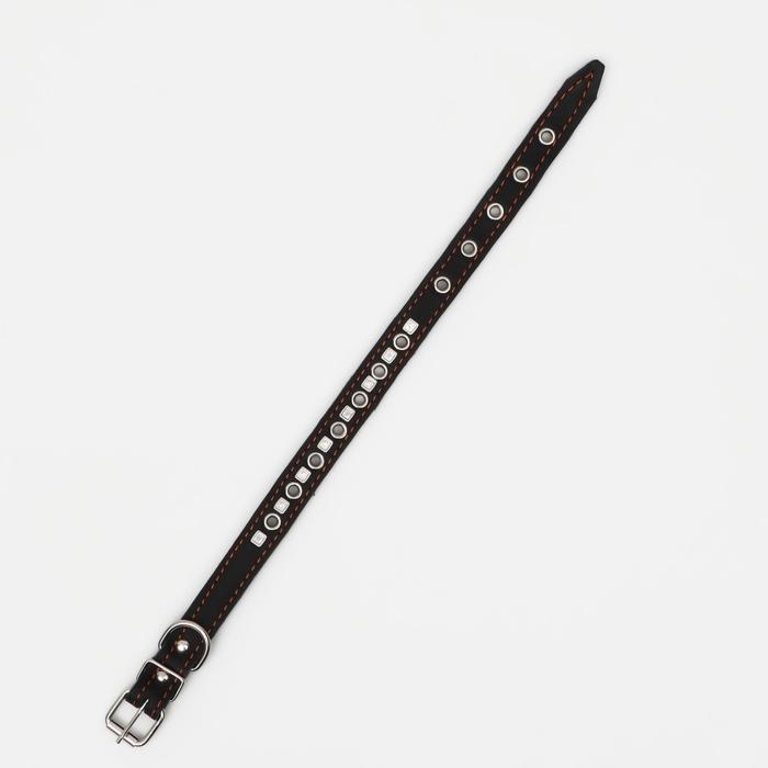 Ошейник кожаный  на синтепоне украшенный, безразмерный, 47 х 2 см, ОШ 28-39 см, чёрный Ошейник кожаный  на синтепоне украшенный, безразмерный, 47 х 2 см, ОШ 28-39 см, чёрный