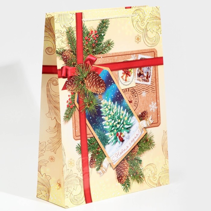 Пакет подарочный новогодний ламинированный «С Новым годом!», L 28 х 38 х 9 см Пакет подарочный новогодний ламинированный «С Новым годом!», L 28 х 38 х 9 см