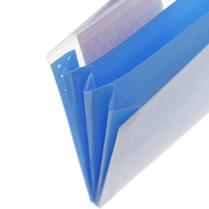 Папка-конверт на кнопке 260 х 132 мм (Travel), 550 мкм, ErichKrause Папка-конверт на кнопке 260 х 132 мм (Travel), 550 мкм, ErichKrause "Matt Pastel Bloom", с расширением, 4 отделения, полупрозрачная, тиснение "песок", микс