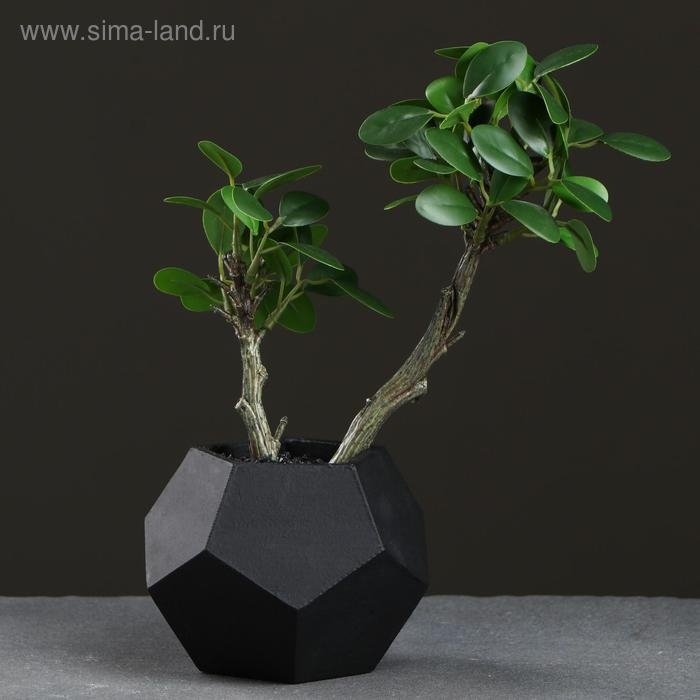 Кашпо Пятиугольник 12 х 9 см чёрный Кашпо Пятиугольник 12 х 9 см чёрный