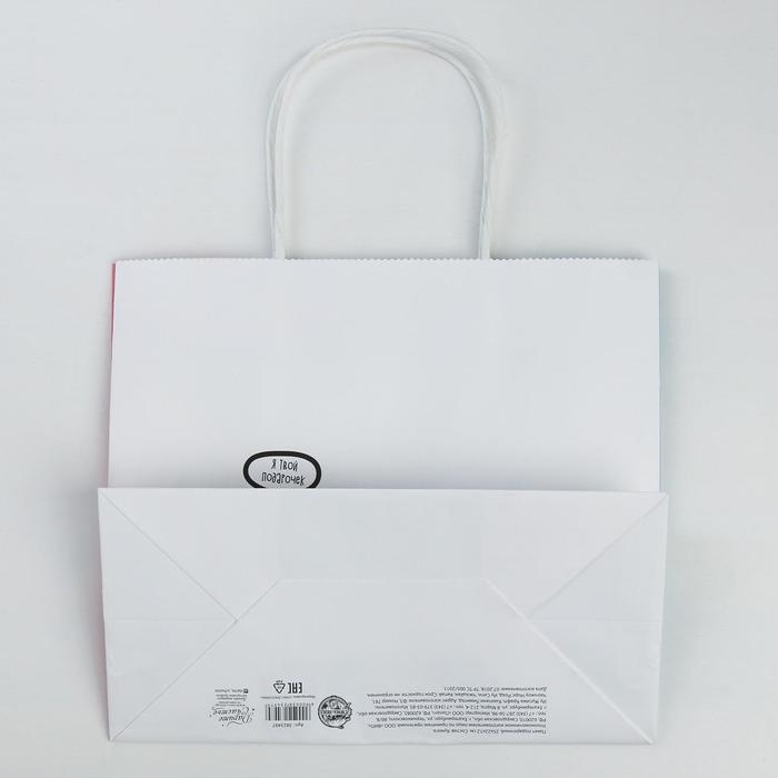 Пакет подарочный крафтовый, упаковка, «Котик», 25 х 22 х 12 см Пакет подарочный крафтовый, упаковка, «Котик», 25 х 22 х 12 см