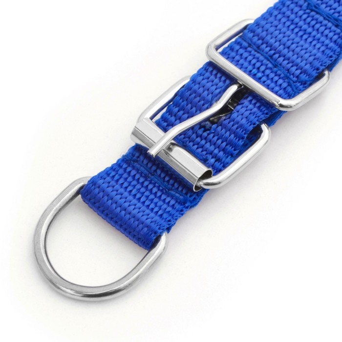 Ошейник Ошейник "Комфорт" комбинированный (полиэстер, искусств. кожа), 45 х 2 см, ОШ 30-39 см, синий