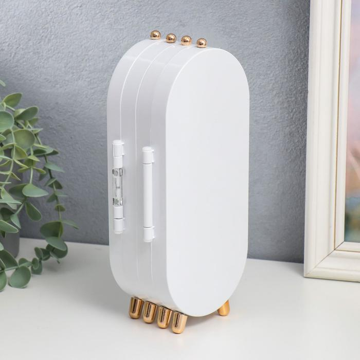 Шкатулка-кейс для украшений пластик Шкатулка-кейс для украшений пластик "Овал" белый 23,5х6,5х11,5 см