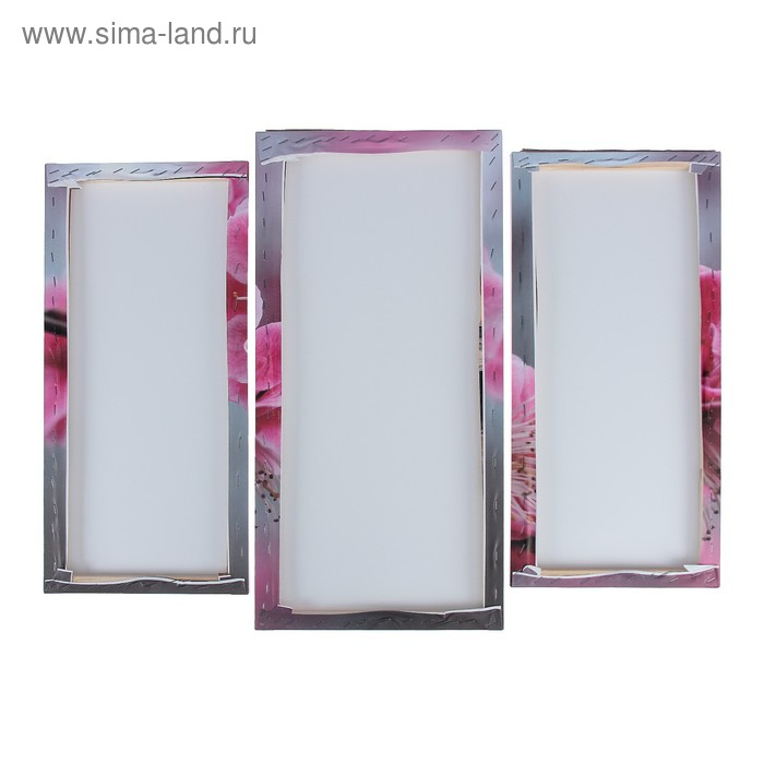 Модульная картина  Модульная картина "Цветы сакуры"  (2-25х52; 1-30х60) 60х80 см