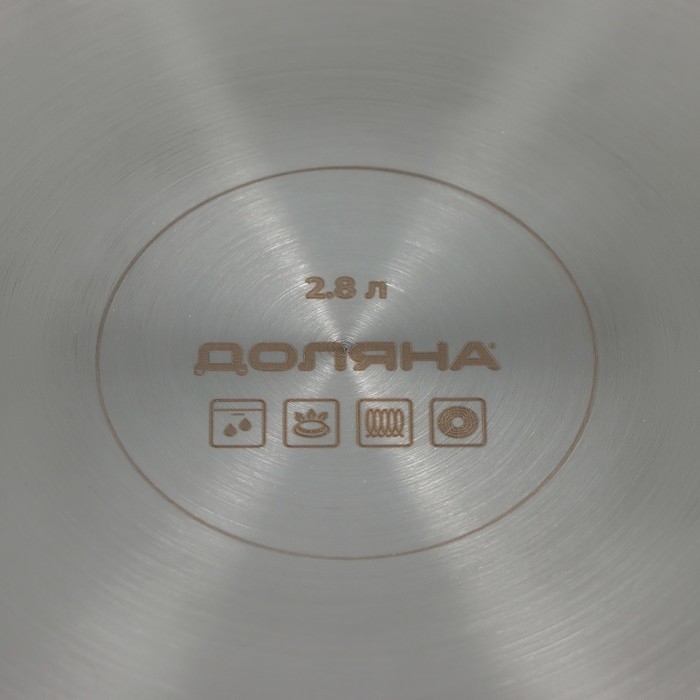 Кастрюля - сотейник Доляна «Грейт», 2.8 л, d=24, капсульное дно, индукция Кастрюля - сотейник Доляна «Грейт», 2.8 л, d=24, капсульное дно, индукция