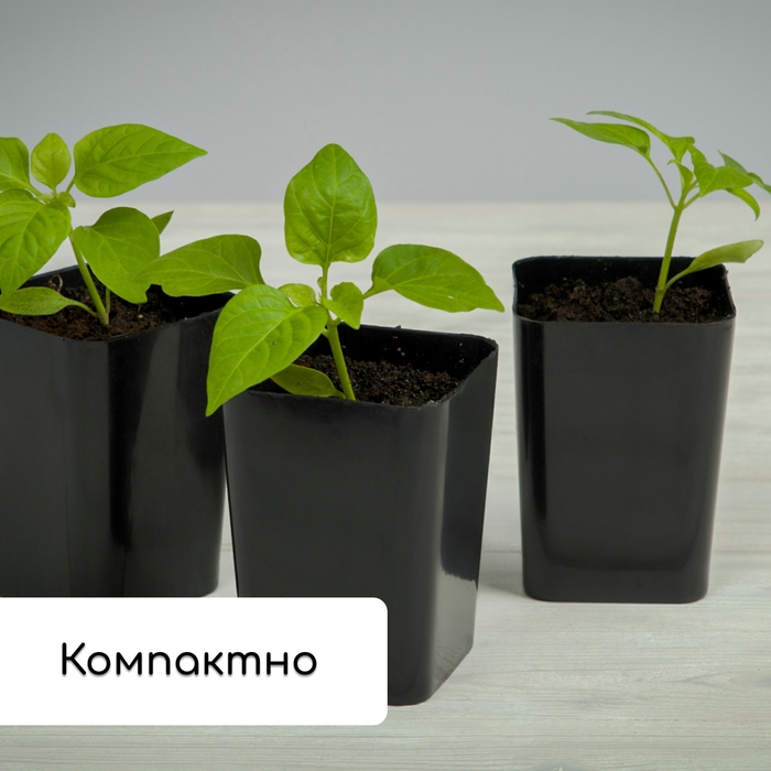 Набор для рассады: стаканы по 500 мл (10 шт.), поддон 40 × 19,5 см, МИКС, Greengo Набор для рассады: стаканы по 500 мл (10 шт.), поддон 40 × 19,5 см, МИКС, Greengo