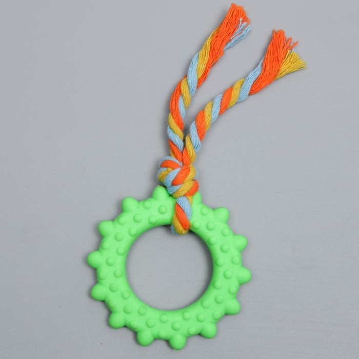 Игрушка жевательная с канатом Игрушка жевательная с канатом "Кольцо с хвостом", зелёная