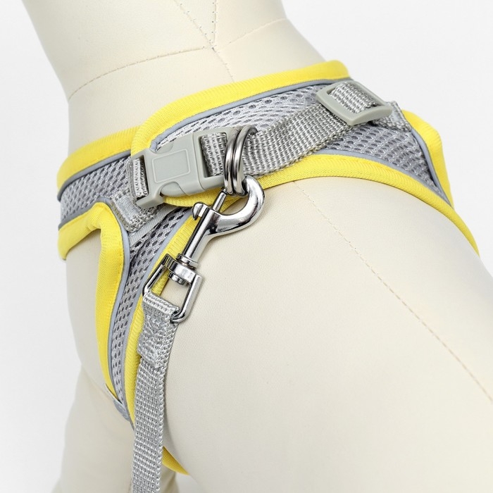Комплект с мягкой шлейкой, быстросъемный, M, поводок 150 х 1,5 см, ОШ 38-44 см, ОГ 44-50 см, жёлтый Комплект с мягкой шлейкой, быстросъемный, M, поводок 150 х 1,5 см, ОШ 38-44 см, ОГ 44-50 см, жёлтый