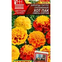 Семена цветов Бархатцы Хот пак, смесь сортов Цветущий балкон, Ц/П,5 шт. Семена цветов Бархатцы Хот пак, смесь сортов Цветущий балкон, Ц/П,5 шт.