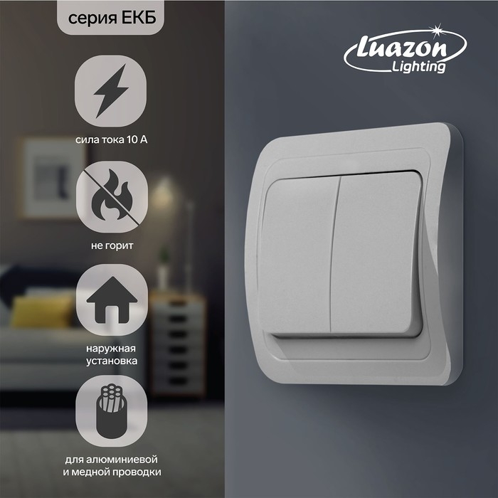Выключатель Luazon Lighting  Выключатель Luazon Lighting "ЕКБ", 10 А, 2 клавиши, белый