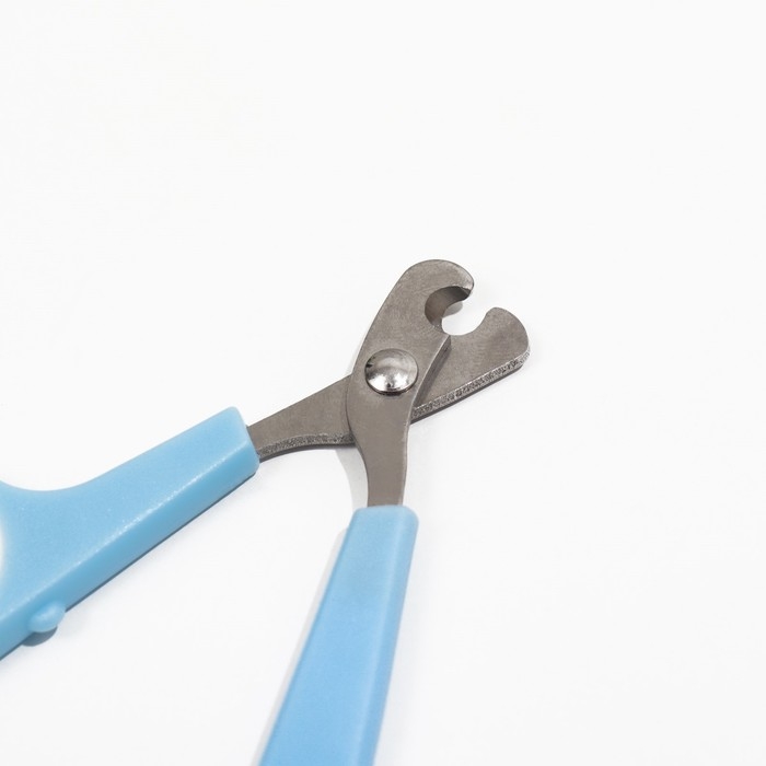 Ножницы-когтерезы с упором для пальца, 12 х 6 х 0,5 см, эконом, микс цветов Ножницы-когтерезы с упором для пальца, 12 х 6 х 0,5 см, эконом, микс цветов