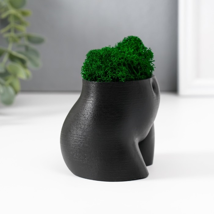 Кашпо бетонное  Кашпо бетонное "Невинный вид" высота 6,5см, ширина 8,5см черный со мхом