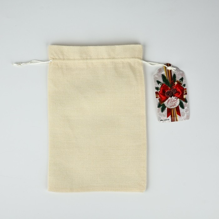 Мешок подарочный «С Новым годом», 20 х 30 см , Новый год Мешок подарочный «С Новым годом», 20 х 30 см , Новый год