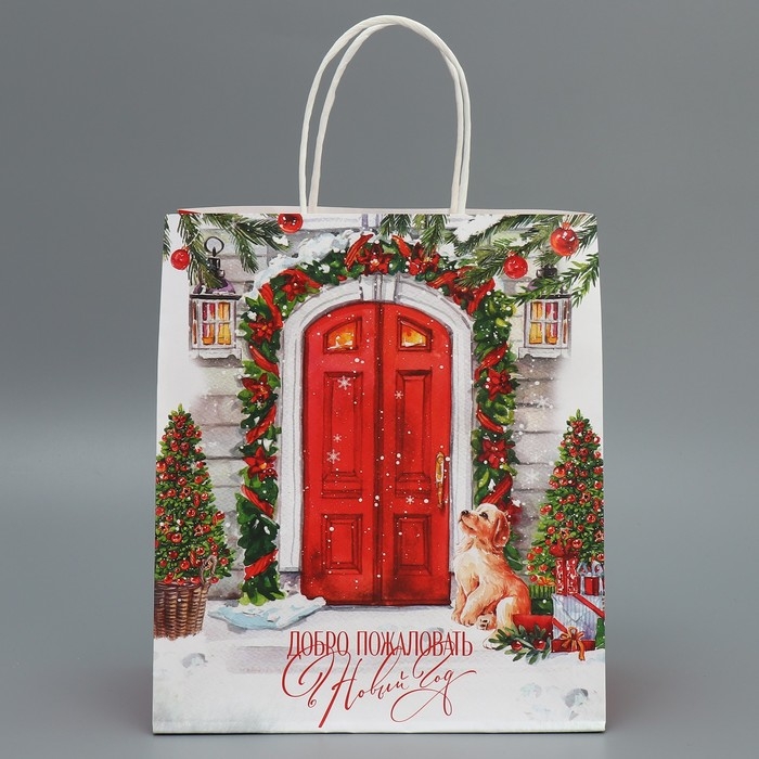 Пакет подарочный новогодний крафтовый «Добро пожаловать», 22 х 25 х 12 см, Новый год