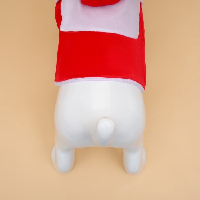 Новый год. Костюм Новый год. Костюм "Новогодний мороз", размер L (ДС 40, ОГ 53, ОШ 30 см, вес 10-15 кг)