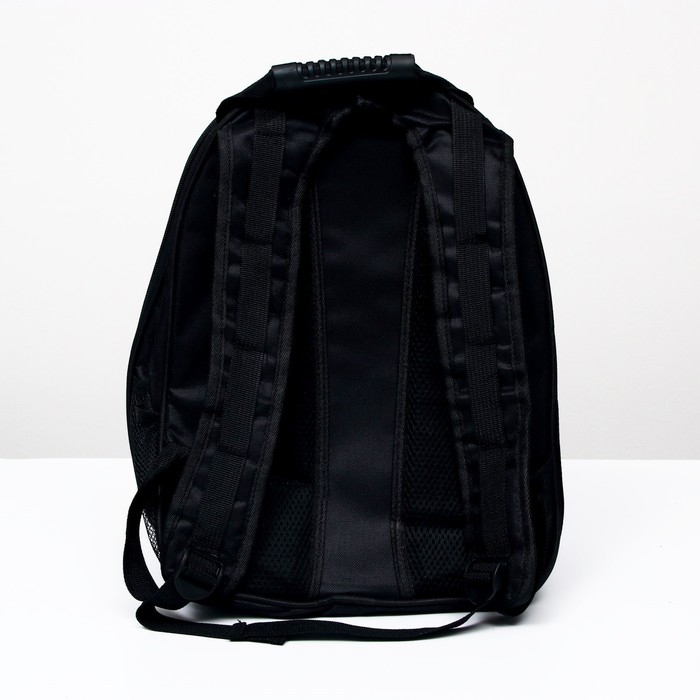 Рюкзак для переноски кошек  Рюкзак для переноски кошек "Кот учёный", с окном для обзора, 32 х 25 х 42 см, розовый