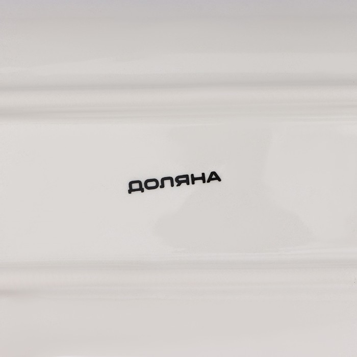 Блюдо сервировочное Доляна «Дракоша», 28×12×3,2 см, цвет белый Блюдо сервировочное Доляна «Дракоша», 28×12×3,2 см, цвет белый