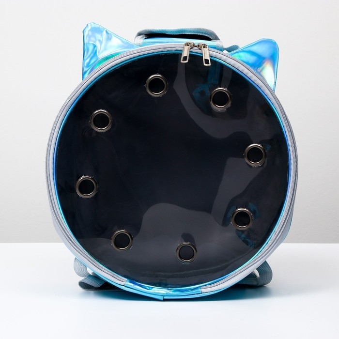 Рюкзак круглый для переноски животных, прозрачный, 26 см, голубой Рюкзак круглый для переноски животных, прозрачный, 26 см, голубой
