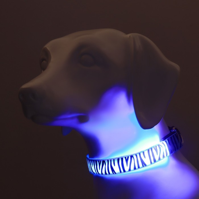 Ошейник с подсветкой Тигр 3 режима свечения, размер L, ОШ 48-60 х 2,5 см синий Ошейник с подсветкой Тигр 3 режима свечения, размер L, ОШ 48-60 х 2,5 см синий