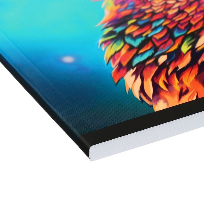 Альбом для рисования А4, 48 листов на склейке Calligrata TOP, обложка мелованный картон, выборочный УФ-лак, блок офсет 120г/м2 Альбом для рисования А4, 48 листов на склейке Calligrata TOP, обложка мелованный картон, выборочный УФ-лак, блок офсет 120г/м2