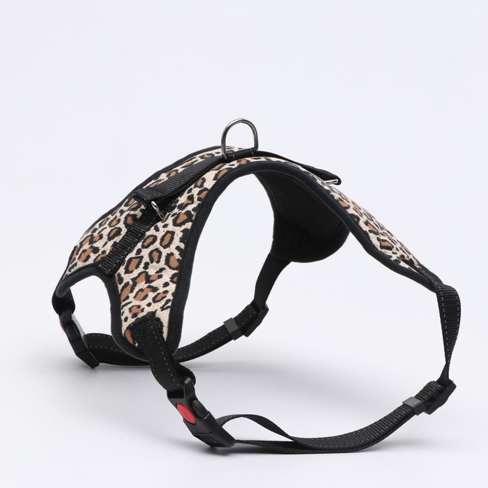 Шлейка К7 мягкая светоотражающая, размер XL, ОГ 74-92 см, вес 28-47,5 кг, леопард Шлейка К7 мягкая светоотражающая, размер XL, ОГ 74-92 см, вес 28-47,5 кг, леопард