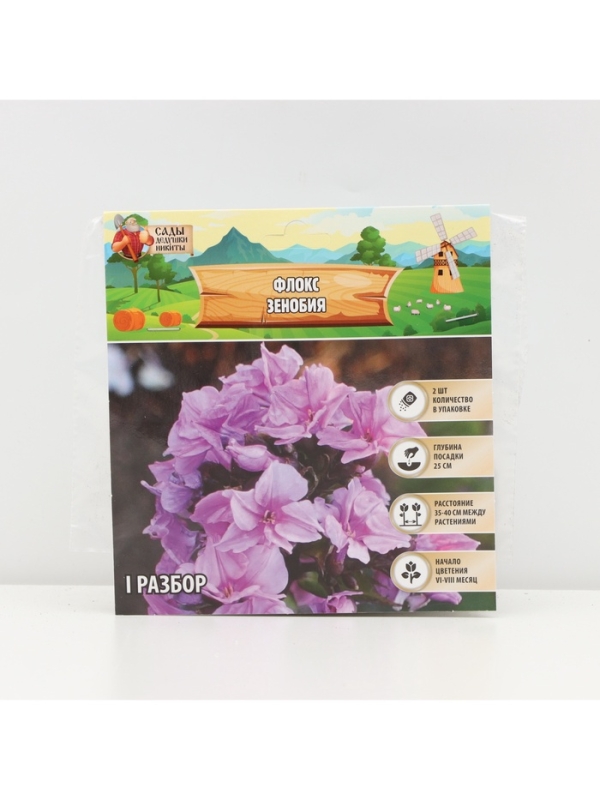 Флокс «Зенобия» корневище в пакете с торфогрунтом, р-р I, 2 шт.